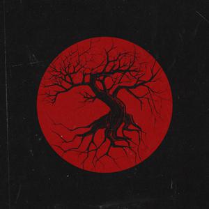 中国老年夫妻性生活一二三区视频
