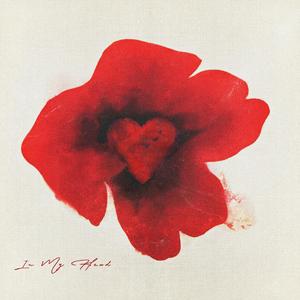 中国老年夫妻性生活一二三区视频
